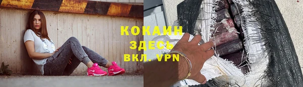 прущий лед Инсар