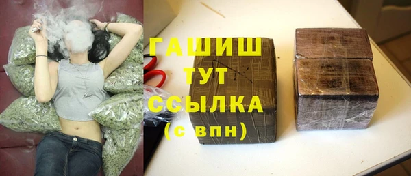 mix Инта