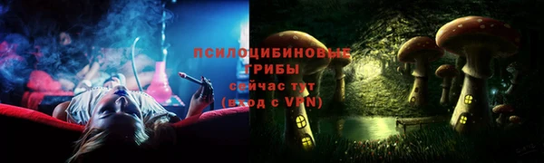 прущий лед Инсар