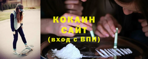 mix Инта