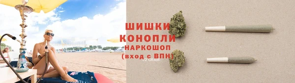 прущий лед Инсар