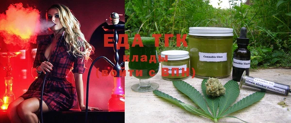 mix Инта