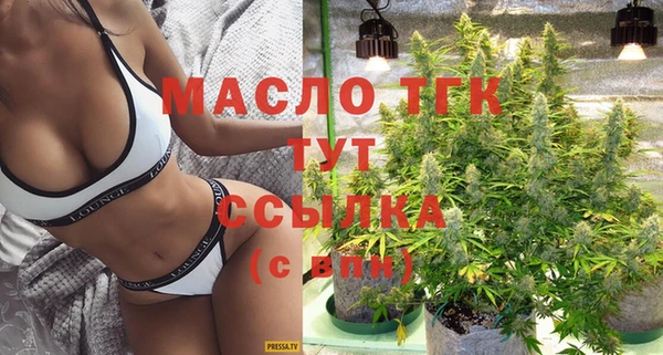 mix Инта
