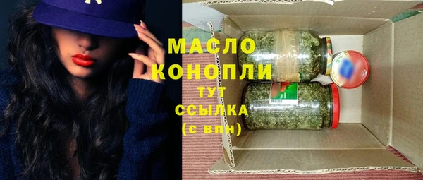mix Инта