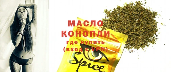 прущий лед Инсар