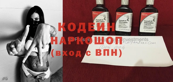 прущий лед Инсар