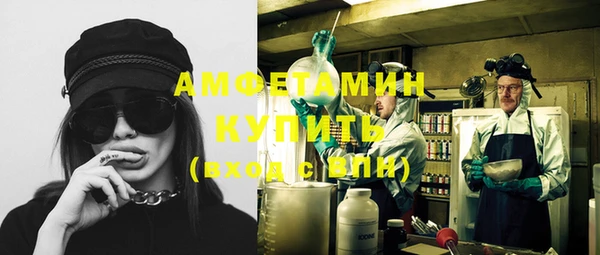 mix Инта