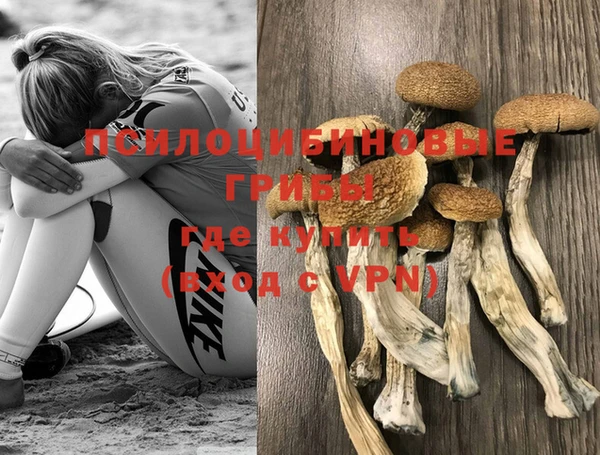 mix Инта