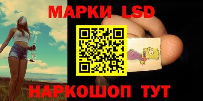 спиды Донской