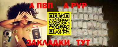 спиды Донской