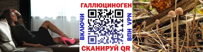 Галлюциногенные грибы ЛСД  где купить наркоту  Зима 