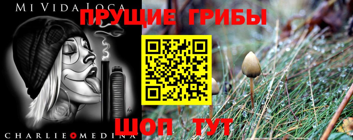 закладки  Галлюциногенные грибы Cubensis  Зима  Галлюциногенные грибы GOLDEN TEACHER 